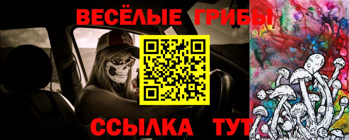 Выкса  Псилоцибиновые грибы Magic Shrooms  Вход с VPN 